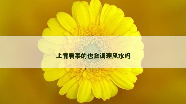 上香看事的也会调理风水吗