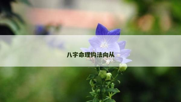 八字命理钩法向从