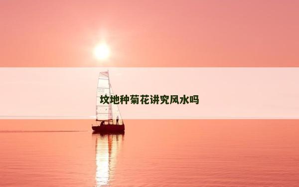 坟地种菊花讲究风水吗