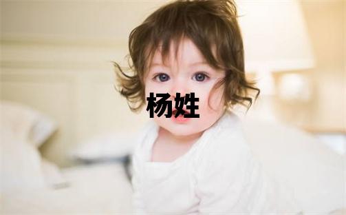 杨姓有含义的男孩名字