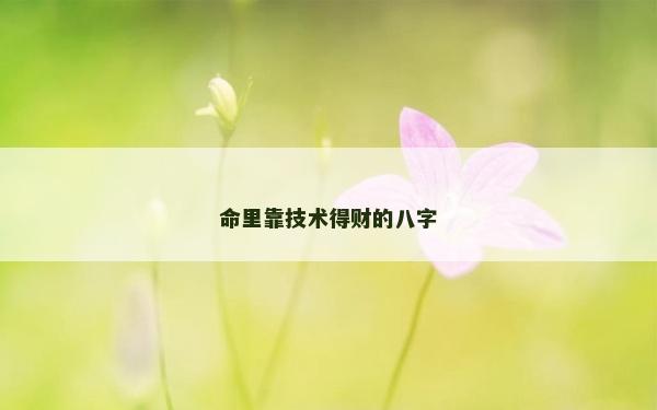 命里靠技术得财的八字