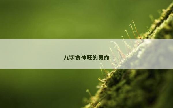 八字食神旺的男命