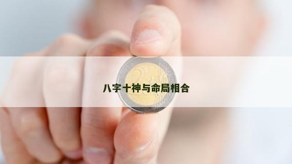 八字十神与命局相合