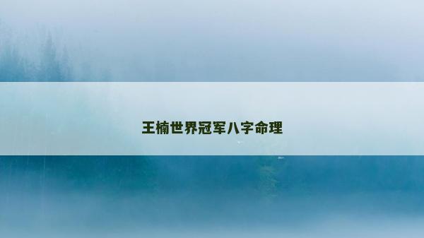 王楠世界冠军八字命理