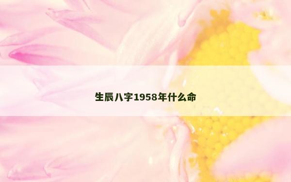 生辰八字1958年什么命