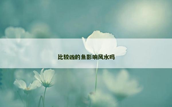 比较凶的鱼影响风水吗