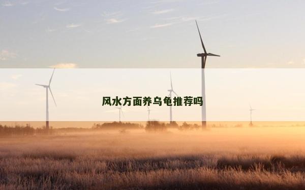 风水方面养乌龟推荐吗
