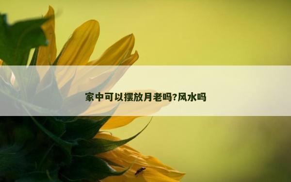 家中可以摆放月老吗?风水吗