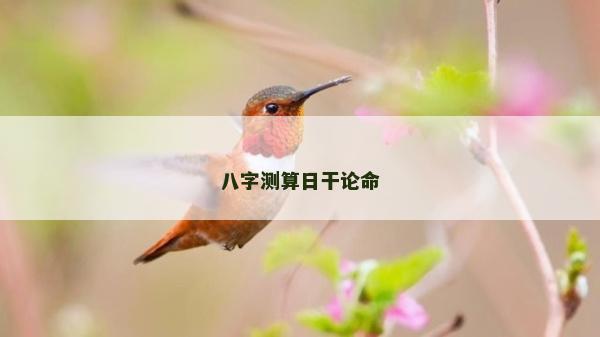 八字测算日干论命