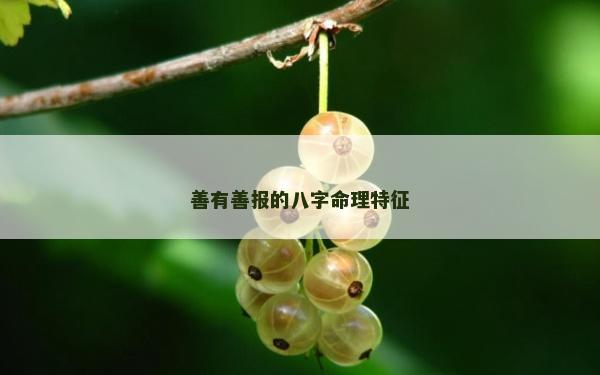 善有善报的八字命理特征