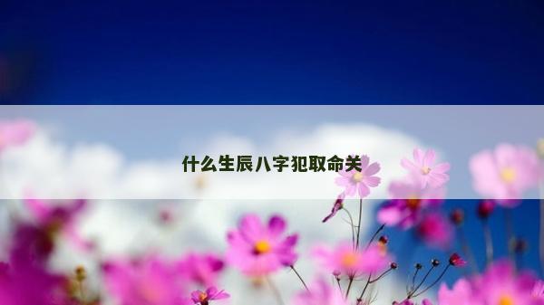 什么生辰八字犯取命关