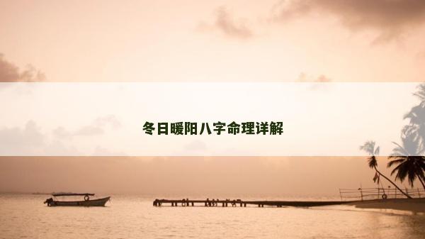 冬日暖阳八字命理详解
