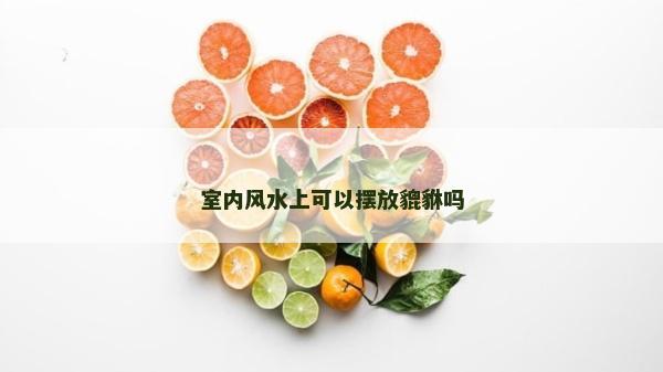 室内风水上可以摆放貔貅吗