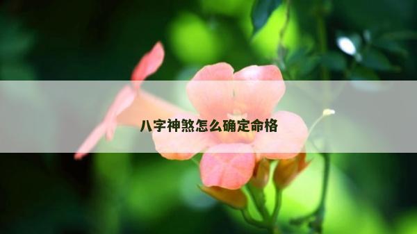 八字神煞怎么确定命格