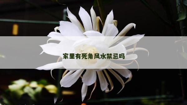 家里有死角风水禁忌吗
