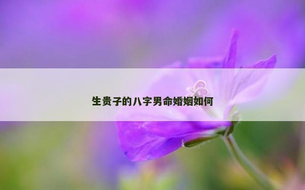 生贵子的八字男命婚姻如何