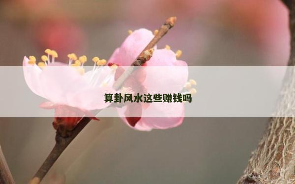 算卦风水这些赚钱吗