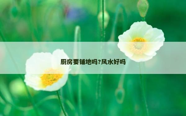 厨房要铺地吗?风水好吗
