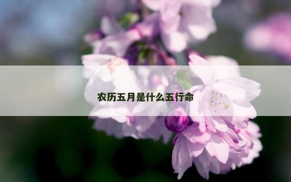 农历五月是什么五行命