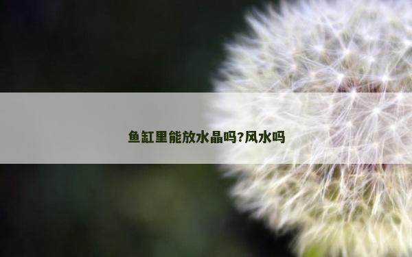 鱼缸里能放水晶吗?风水吗