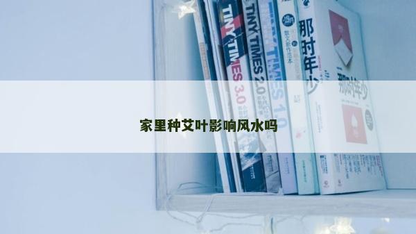 家里种艾叶影响风水吗