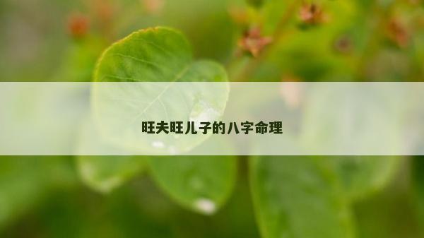 旺夫旺儿子的八字命理