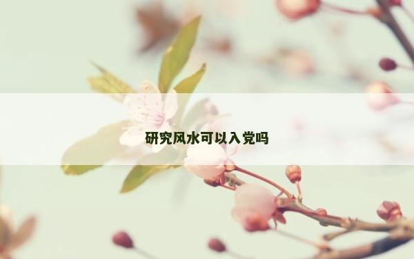 研究风水可以入党吗