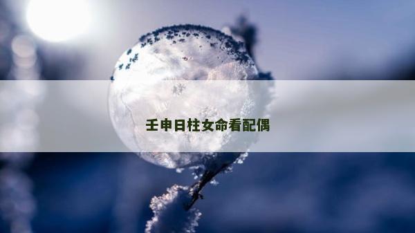 壬申日柱女命看配偶