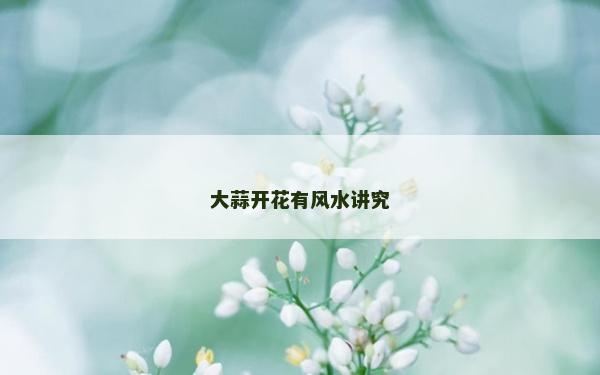 大蒜开花有风水讲究