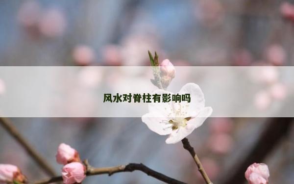 风水对脊柱有影响吗