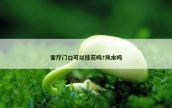 客厅门口可以挂花吗?风水吗