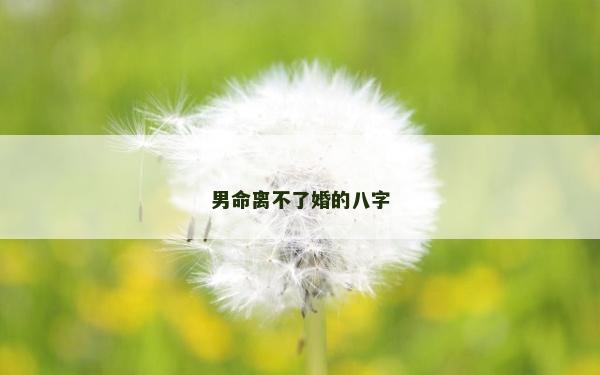 男命离不了婚的八字