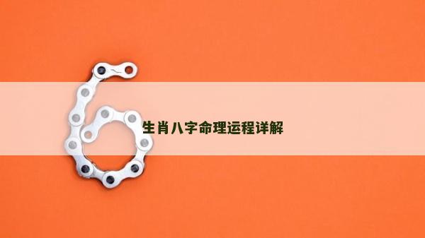 生肖八字命理运程详解