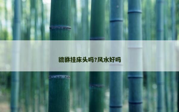 貔貅挂床头吗?风水好吗