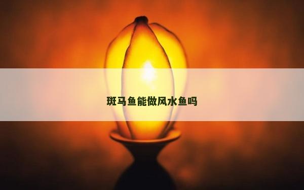 斑马鱼能做风水鱼吗