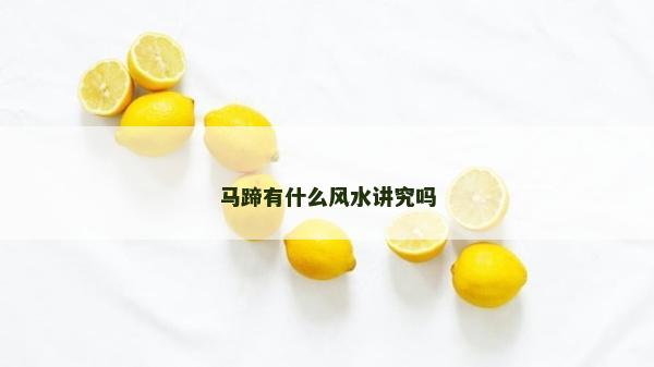 马蹄有什么风水讲究吗