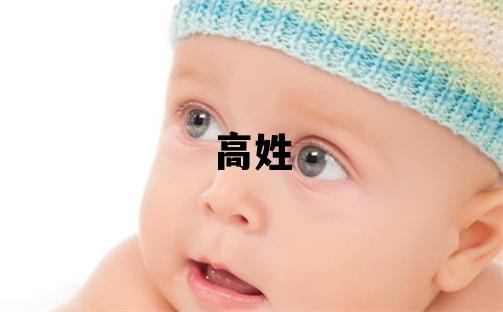 高姓有涵养的男宝宝名字