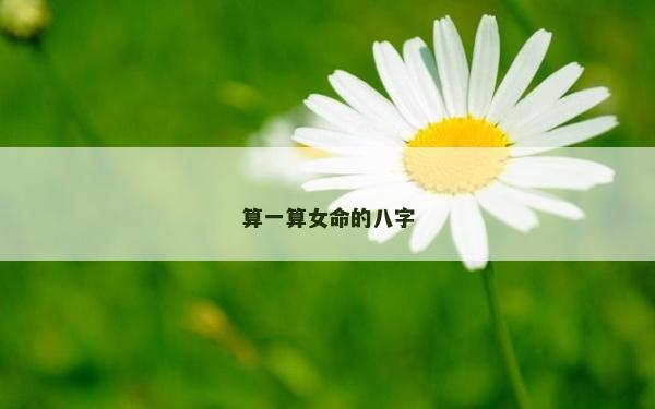 算一算女命的八字