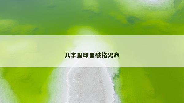 八字里印星破格男命