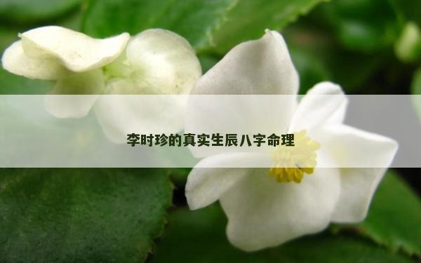 李时珍的真实生辰八字命理