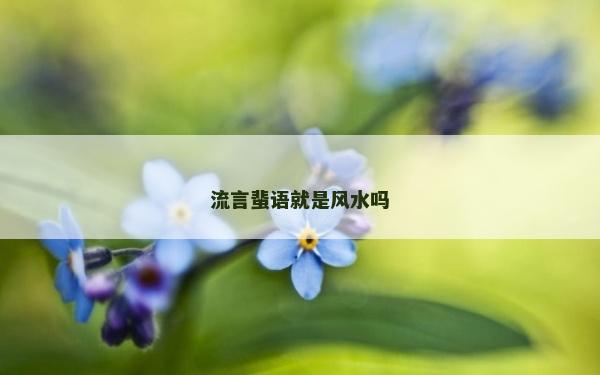 流言蜚语就是风水吗