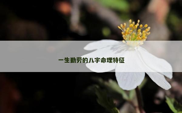 一生勤劳的八字命理特征