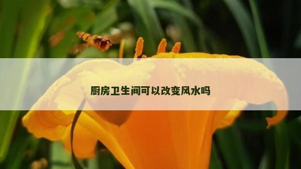 厨房卫生间可以改变风水吗