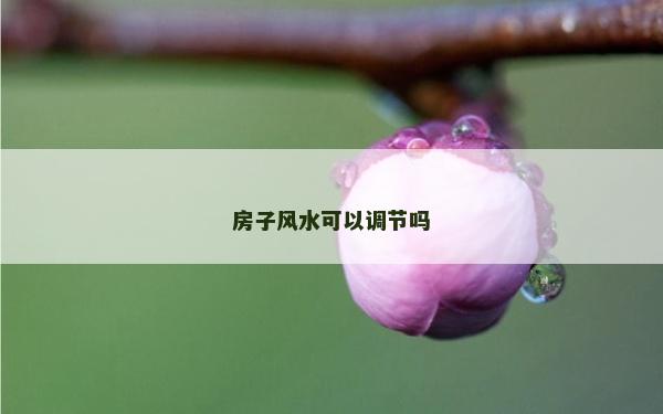 房子风水可以调节吗