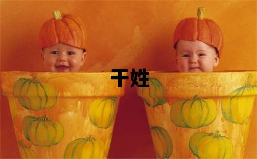 干姓有创意的男宝宝名字