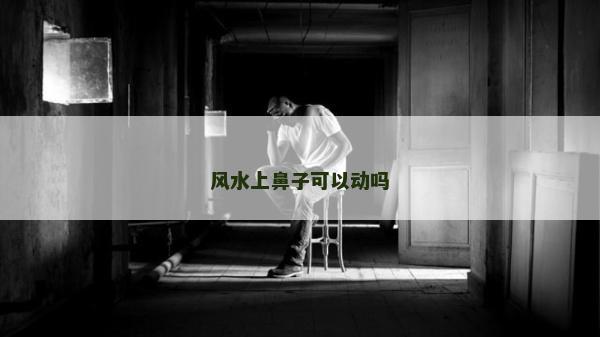 风水上鼻子可以动吗