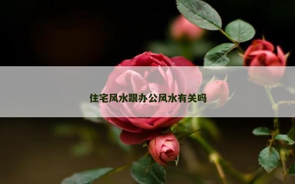 住宅风水跟办公风水有关吗
