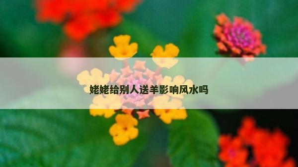 姥姥给别人送羊影响风水吗