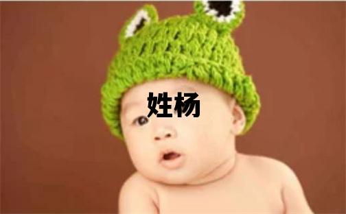 姓杨叫什么名字好 姓杨的女孩有新意的名字
