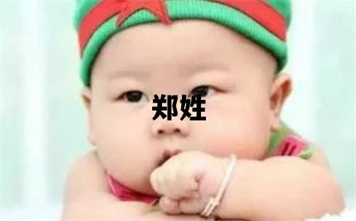 郑姓洋气的男宝宝名字